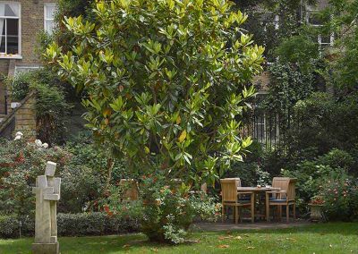 K+K Hotel George Kensington, London Garden with tree and monuments