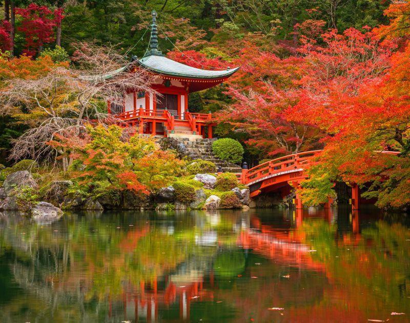 Kyoto Gardens in London Hidden Tourist Spot London - Kyoto Gardens London
