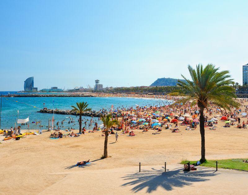 Barcelona Beach Barcelona Beach
