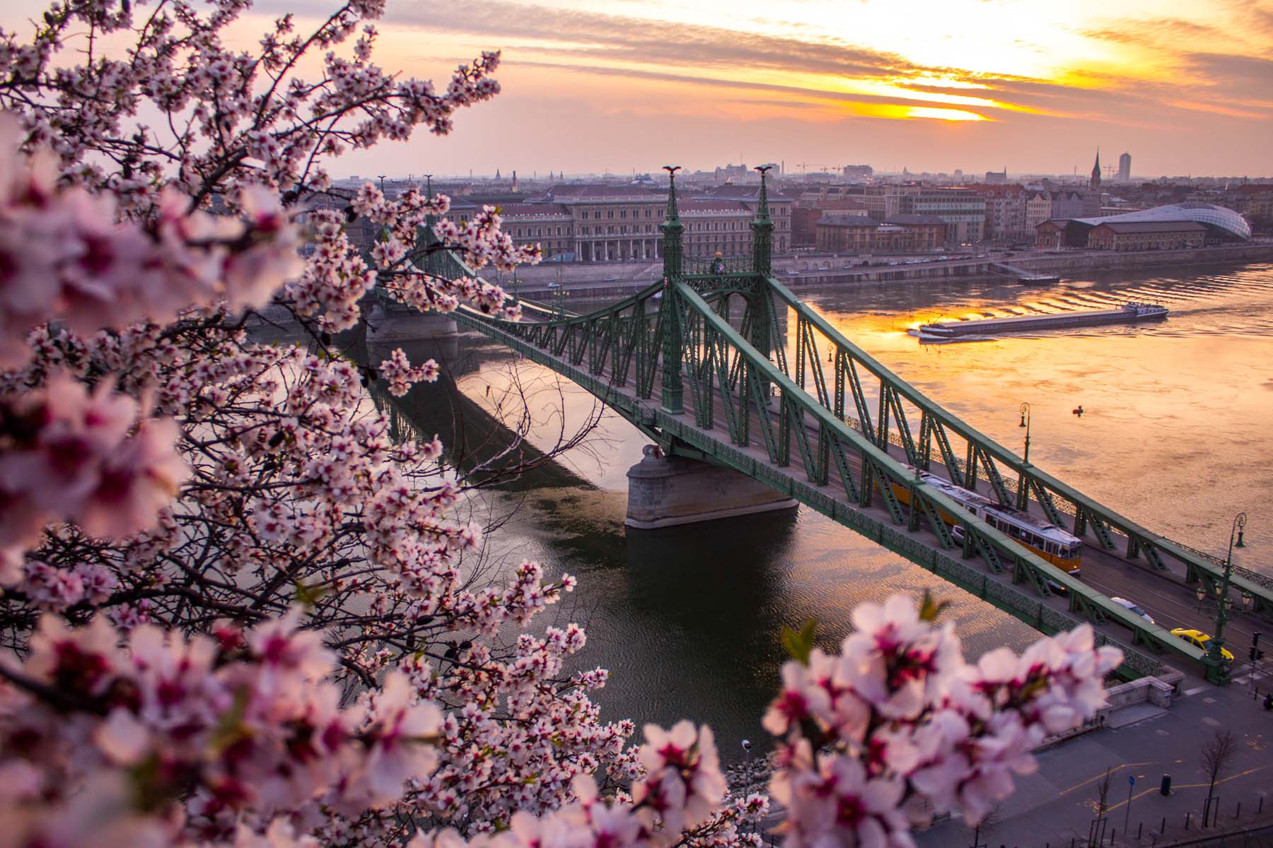 First,Signs,Of,Spring,Over,Budapest