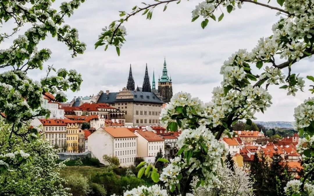 Get Ready for an Unforgettable Family Getaway in Prague with K+K Hotels