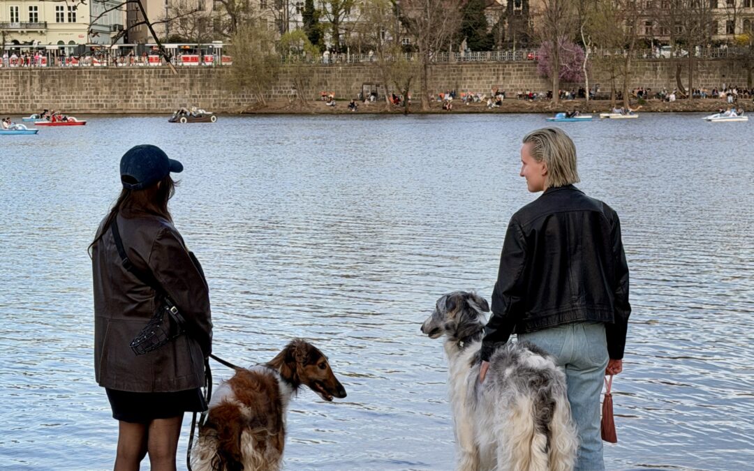 Walking Prague with a Dog