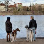 Střelecký ostrov - walking prague with a dog